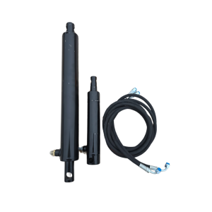 Juego de cilindros para rampa hidráulica con borde 10 T