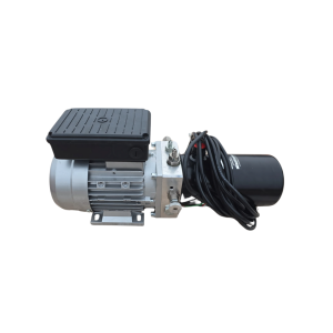 Motor eléctrico monofásico 220V para rampa hidráulica