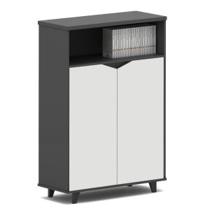 Mueble de oficina de 2 puertas cómoda de 2 puertas y espacio para librería