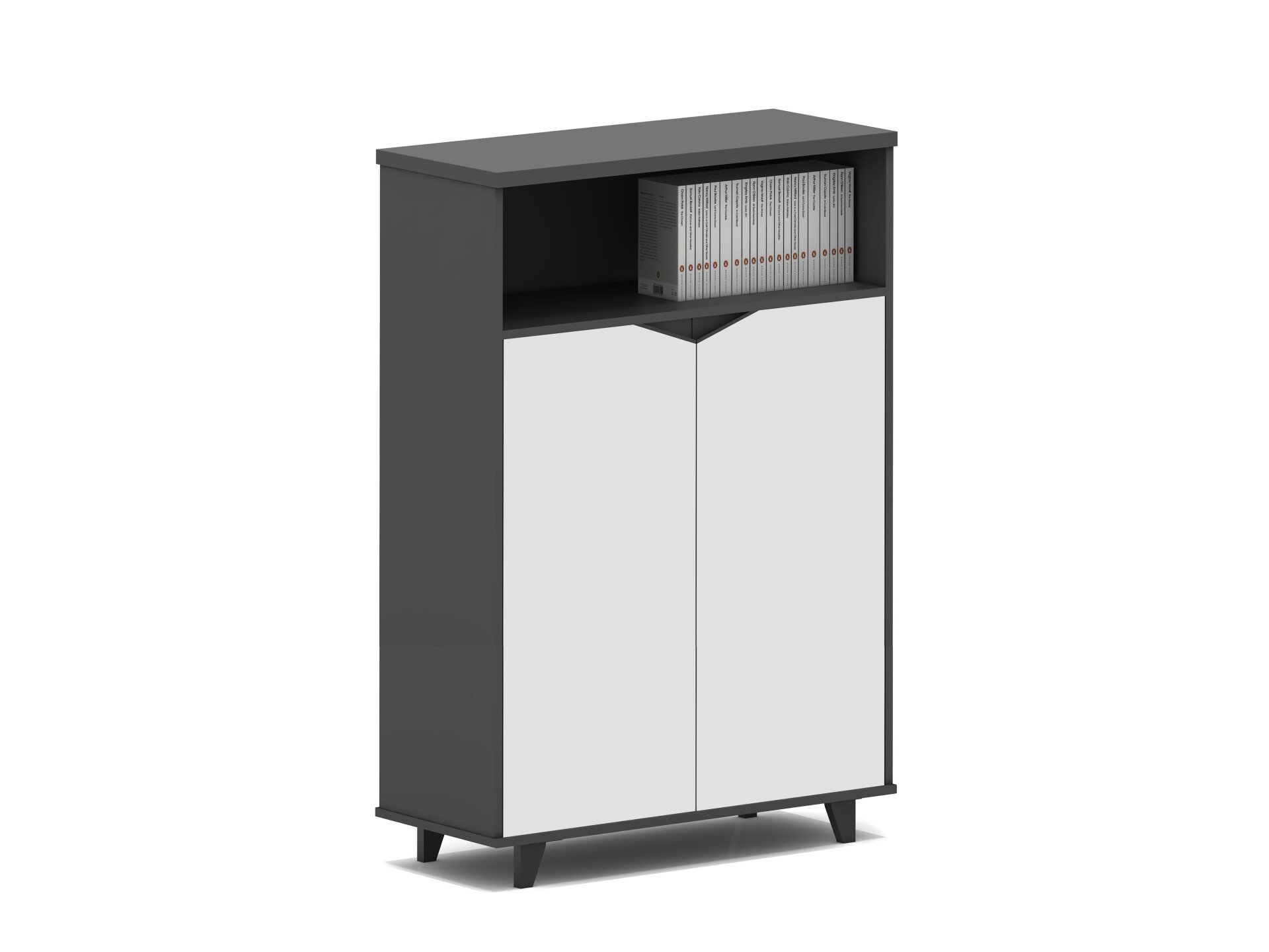 Mueble de oficina de 2 puertas cómoda de 2 puertas y espacio para librería Mueble de oficina de 2 puertas cómoda de 2 puertas y espacio para librería