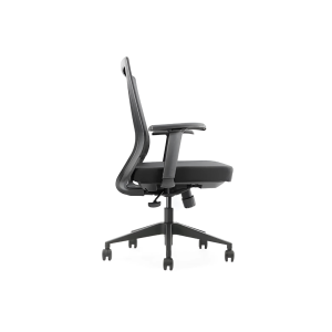 Silla ergonomica profesional 188B