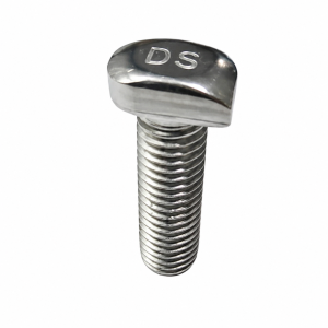 Tornillo T Bolt inoxidable M8x25 mm para riel R23 – Juego de 10 unidades